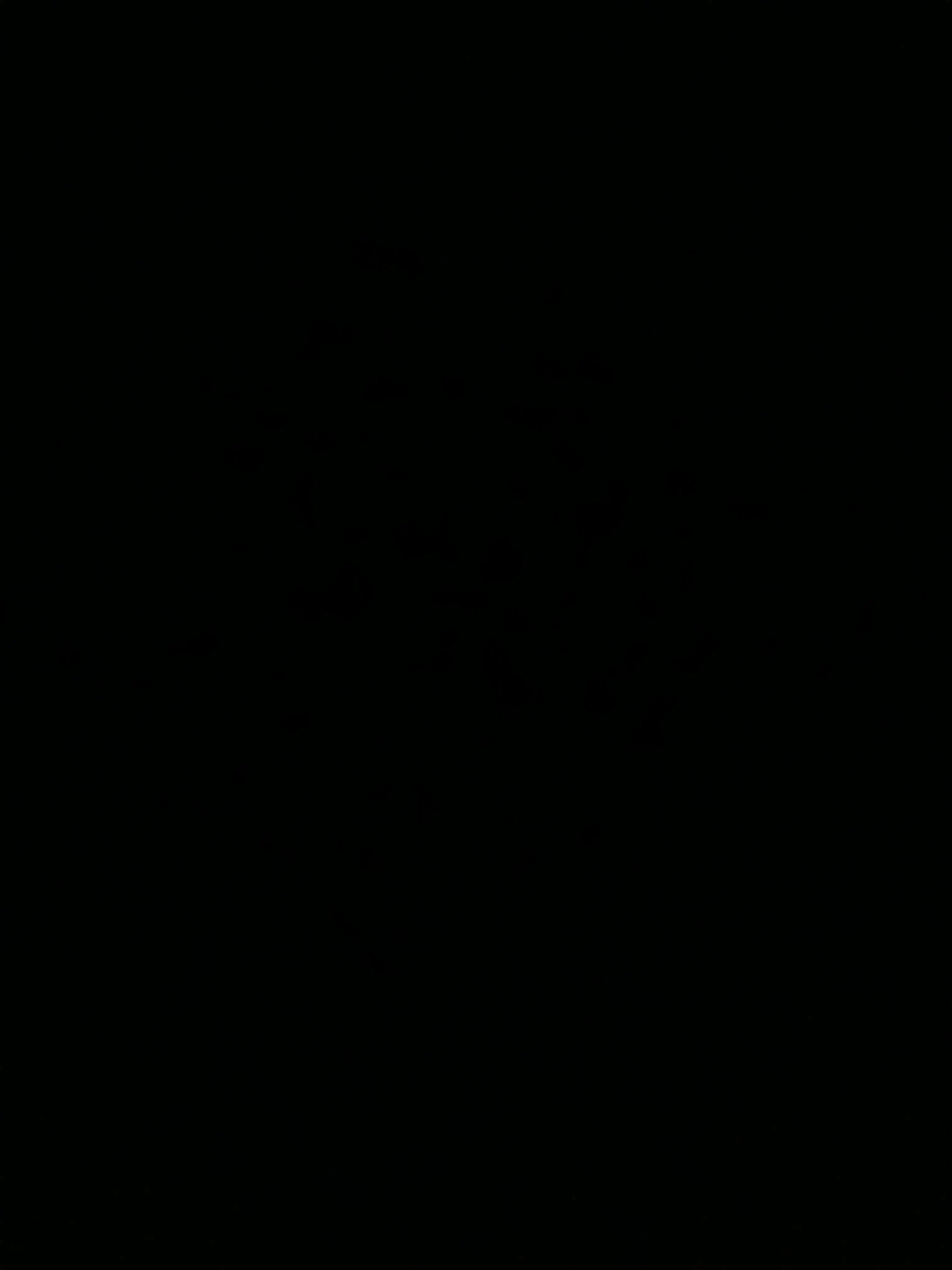 NutmegPin4802의 환승연애 IZNA