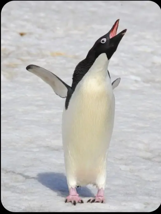 ISTPero의 제타 ㄱㅅㄲ야