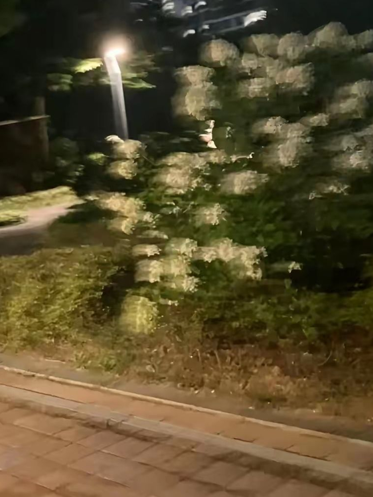 패러다이스 & 뜰팁 조직 대표 이미지