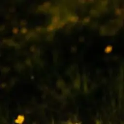 luckyhackerpizzaYAOI의 ..꽤나 당돌하군. 멍청해 보일만큼.