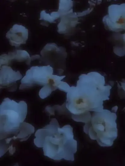 267528의 好きなんだね
