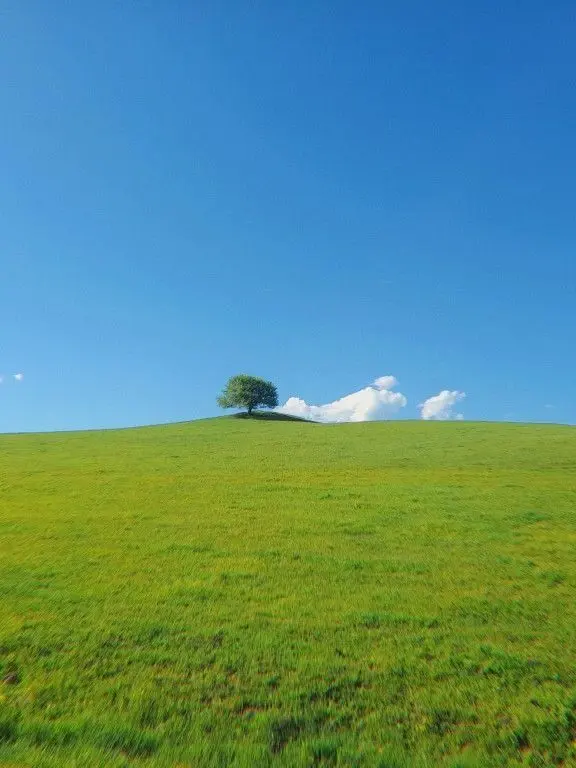 Real_yuro_yuro의 으히히 고향조