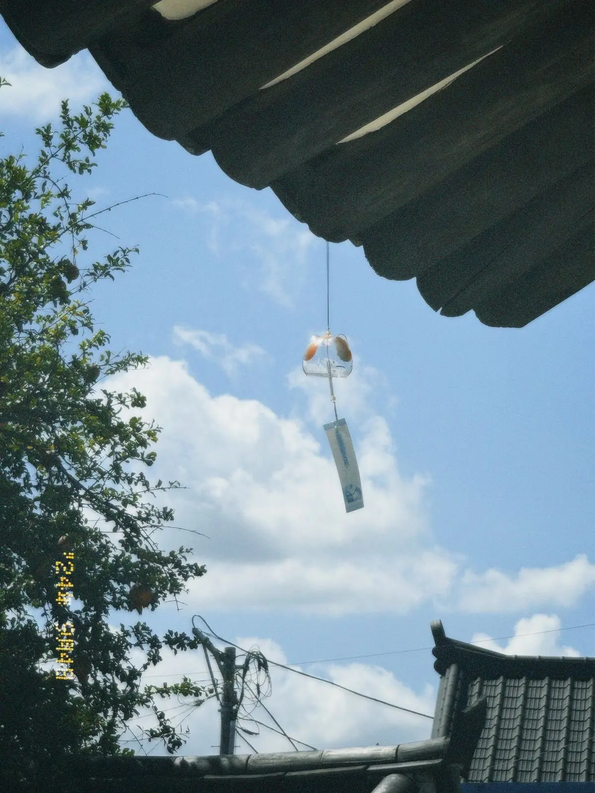 Cherrybong2의 누나, 그놈에게 가지마요!