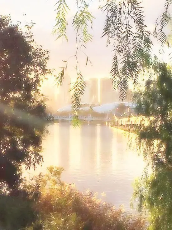 Lllll.의 이터널슈가 쿠키