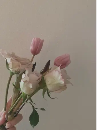 AgileMoth8601의 SCHOOL