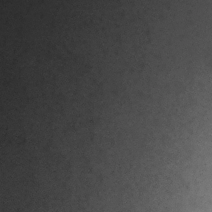 동거하는 친구들!(설명 보세요!)