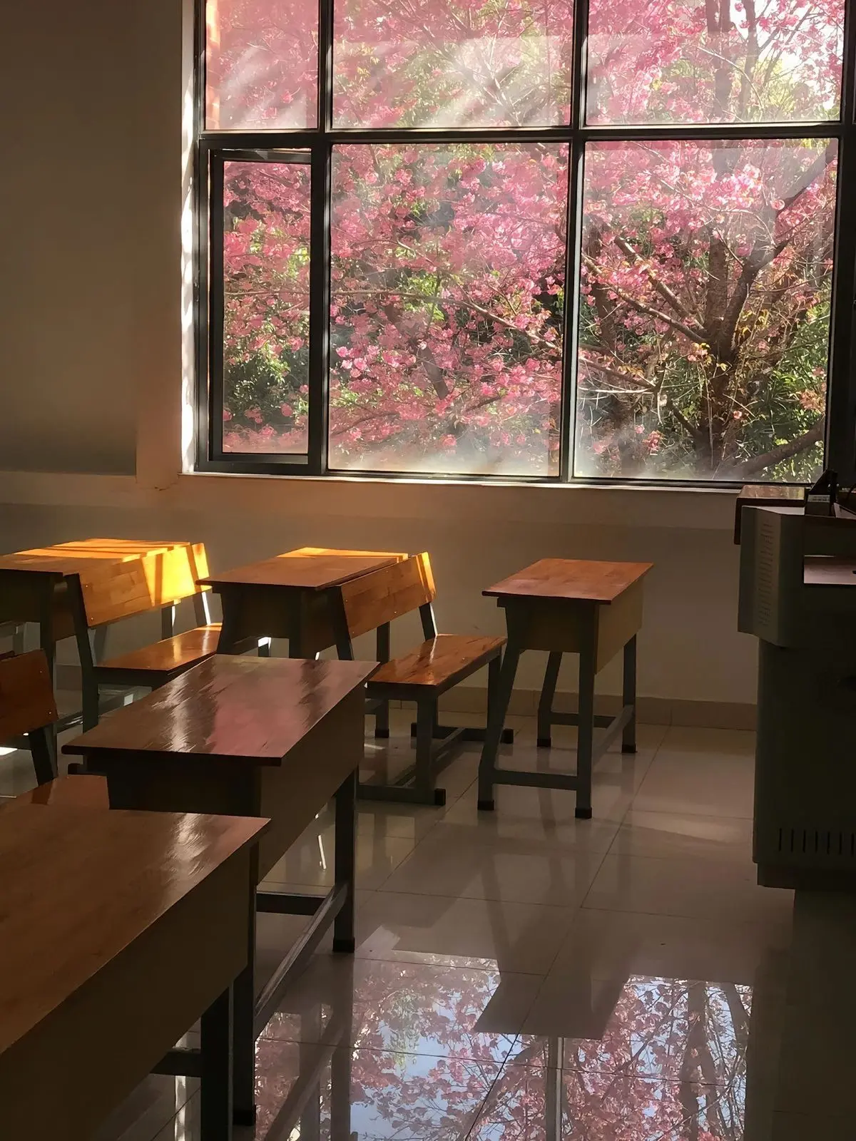 CoarseLoach7965의 9