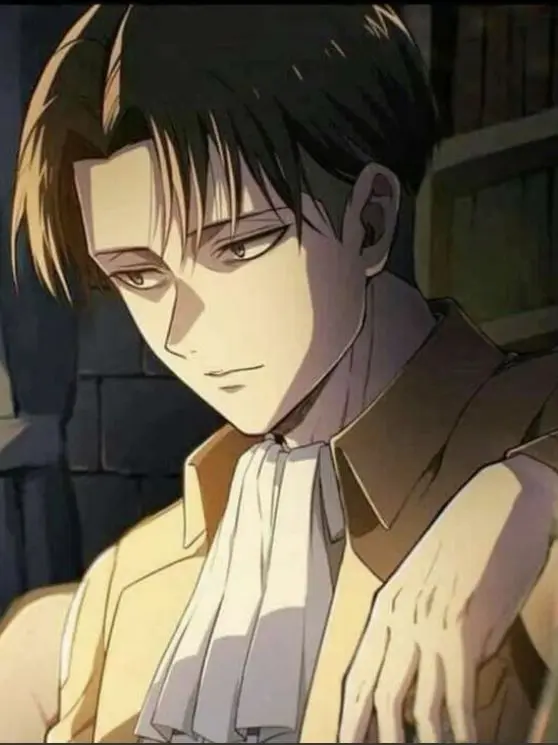 qwerty112233의 리바이 아커만