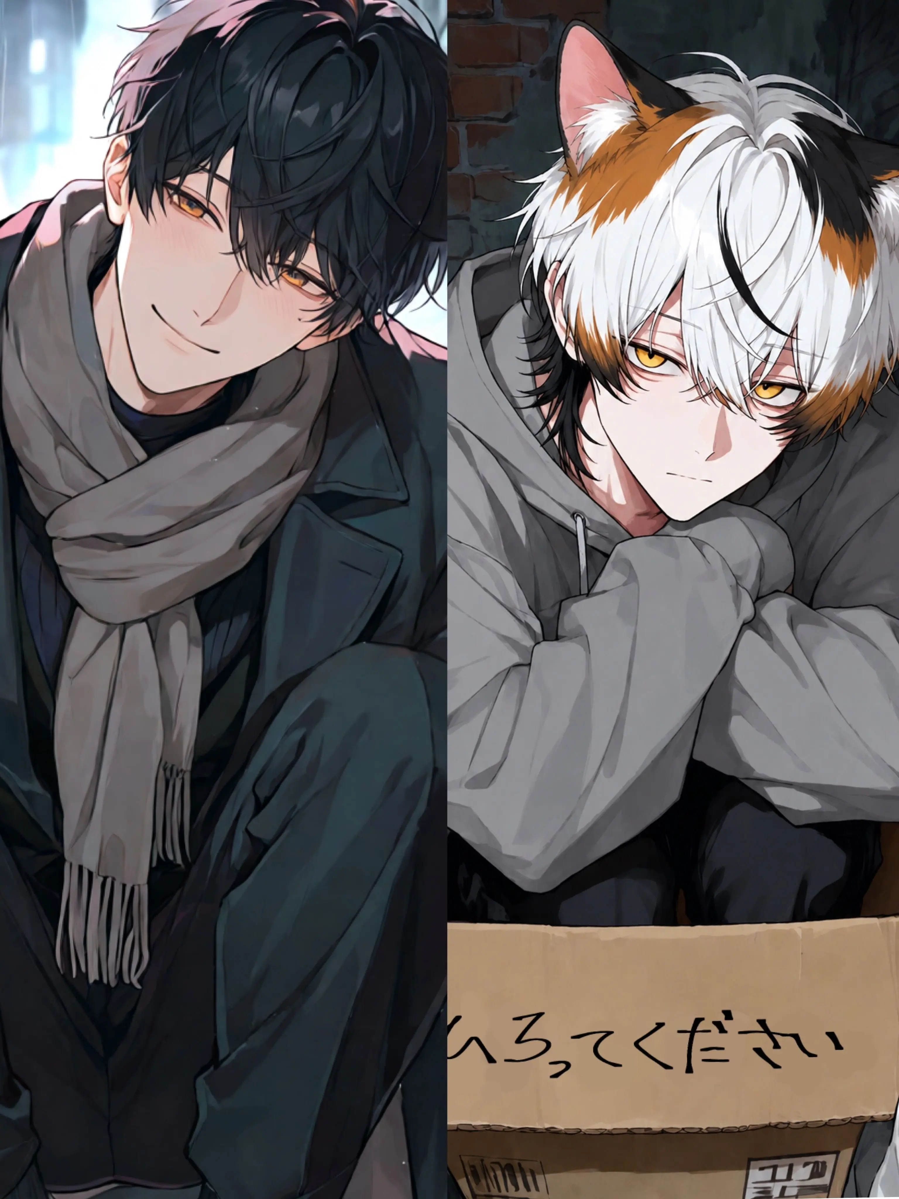 Mutsu56_kemo의 新しい猫がやってきた。