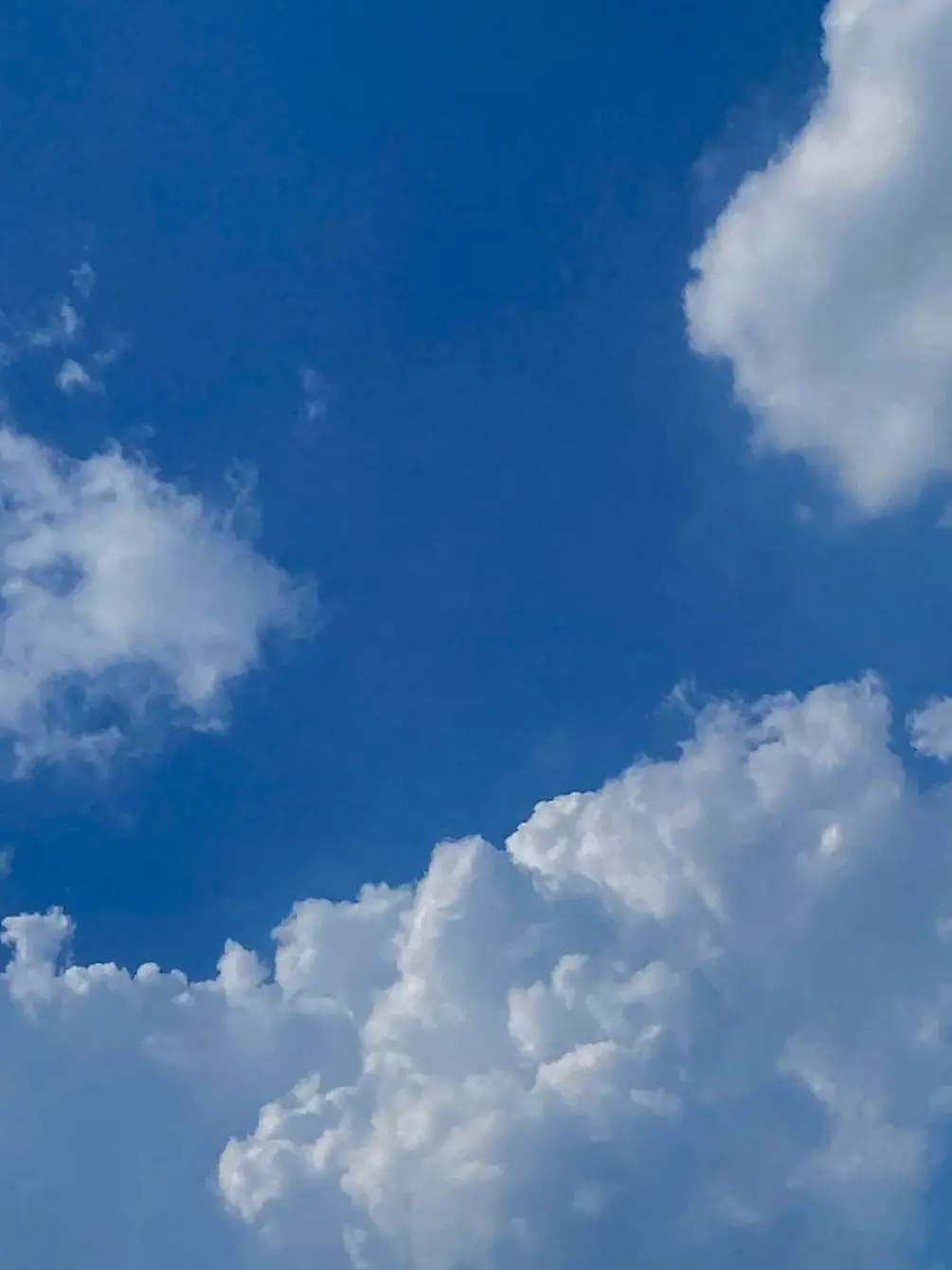 screwball_1의 " 타임캡슐 하나 "