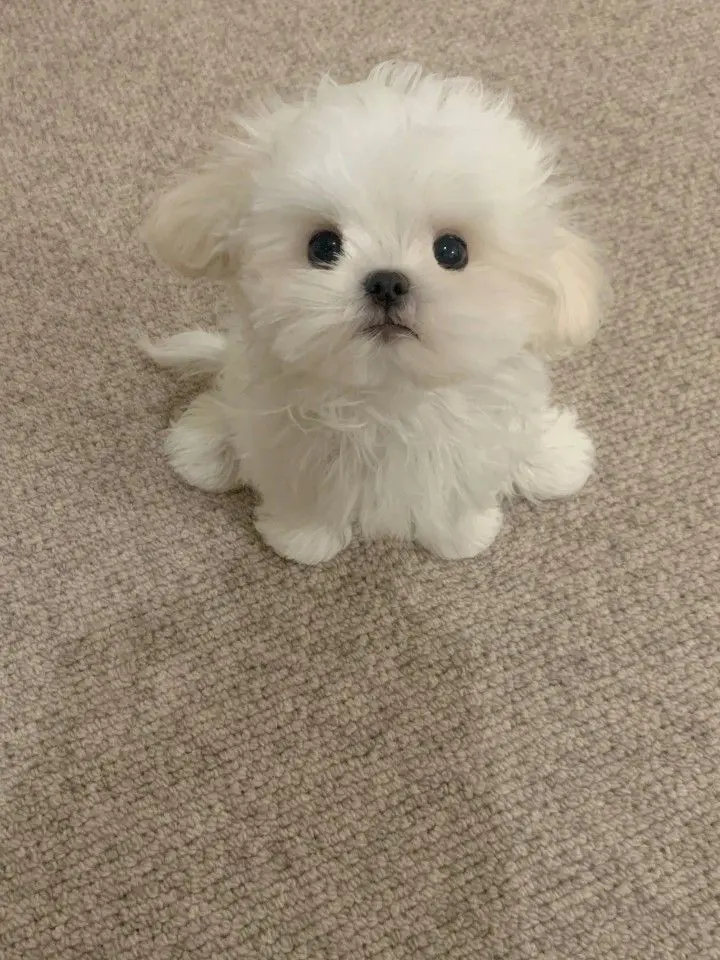 .....ux의 見ちゃった