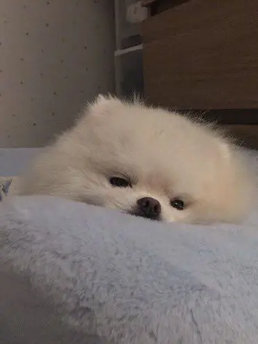 .....ux의 他人以下