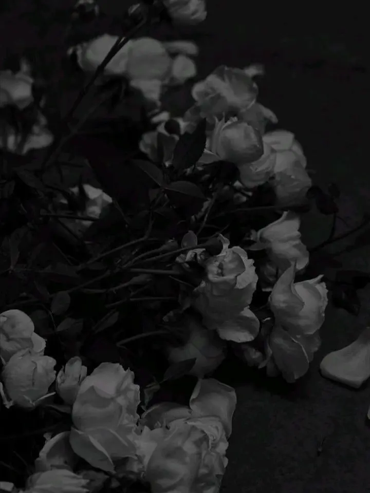 bigbang4ever의 너 나 좋아하는건 아니지?
