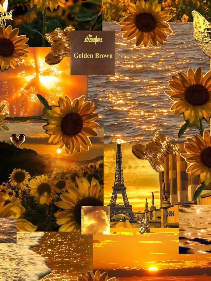 CleverDaisy6511의 Friend group