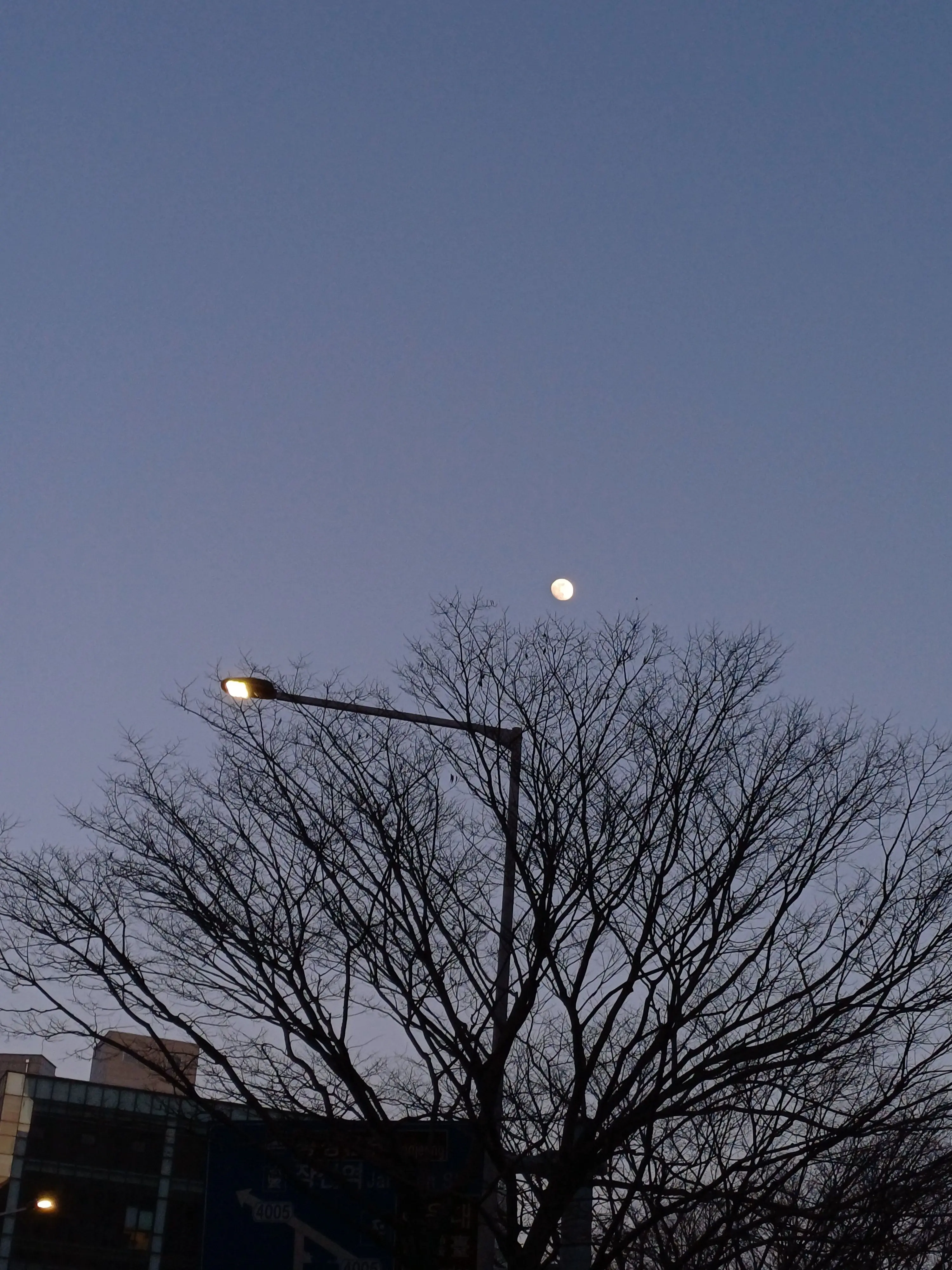 seo45817의 혈귀가된주들 근데 기억까지잃은