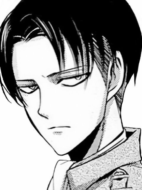 LEVI 대표 이미지