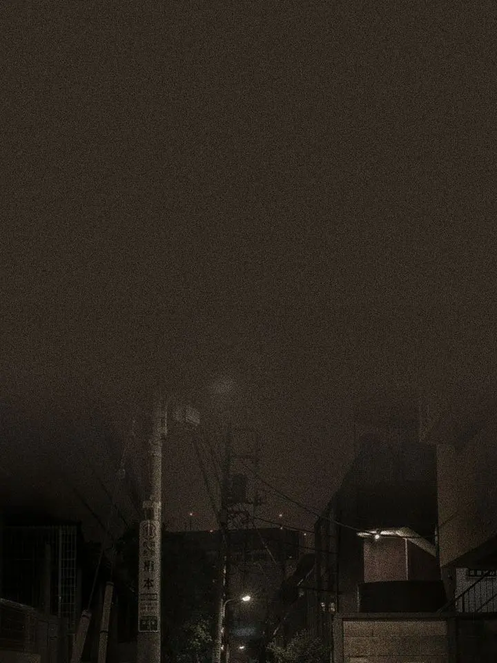 roobiroo의 세사람과 동거하기