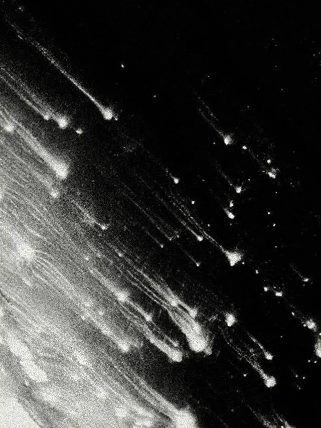 i1l2의 『終末、僕らは月の裏側で。』