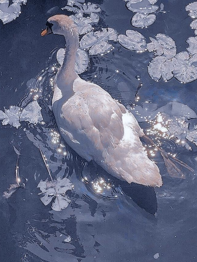 On the river 2 대표 이미지