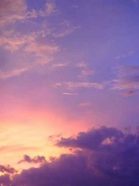 AmusedOkapi6449의 春夏秋冬代行者パロー代行者・護衛官ver