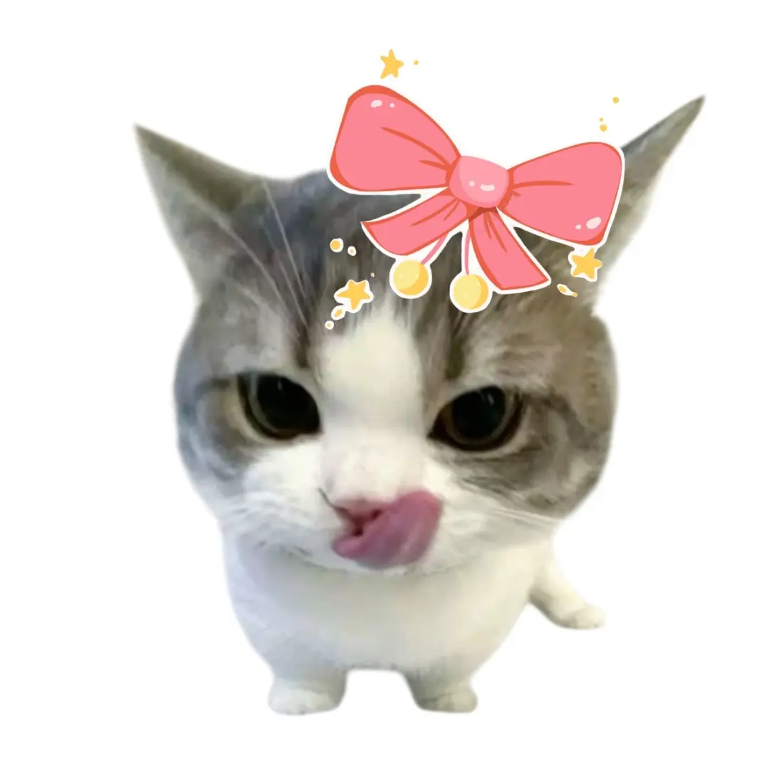 Fsjwkssidnqqldl의 생존스쿨 팀챗중학교