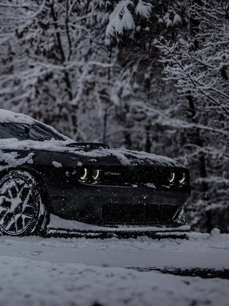 Good_morning1245의 닷지 헬켓