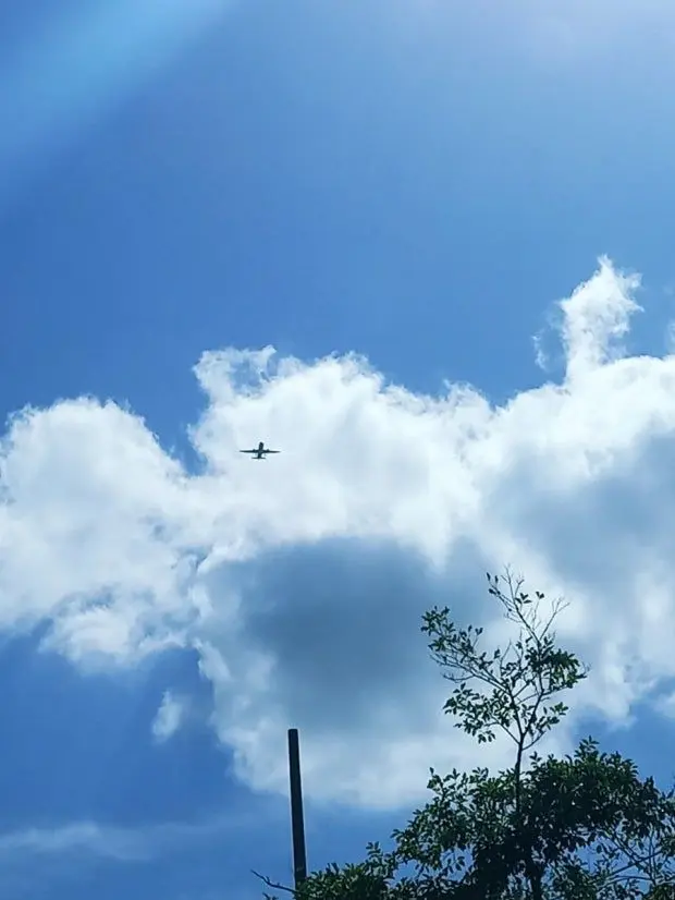 sook_ju의 반모자 옾챗 (현실 반영)