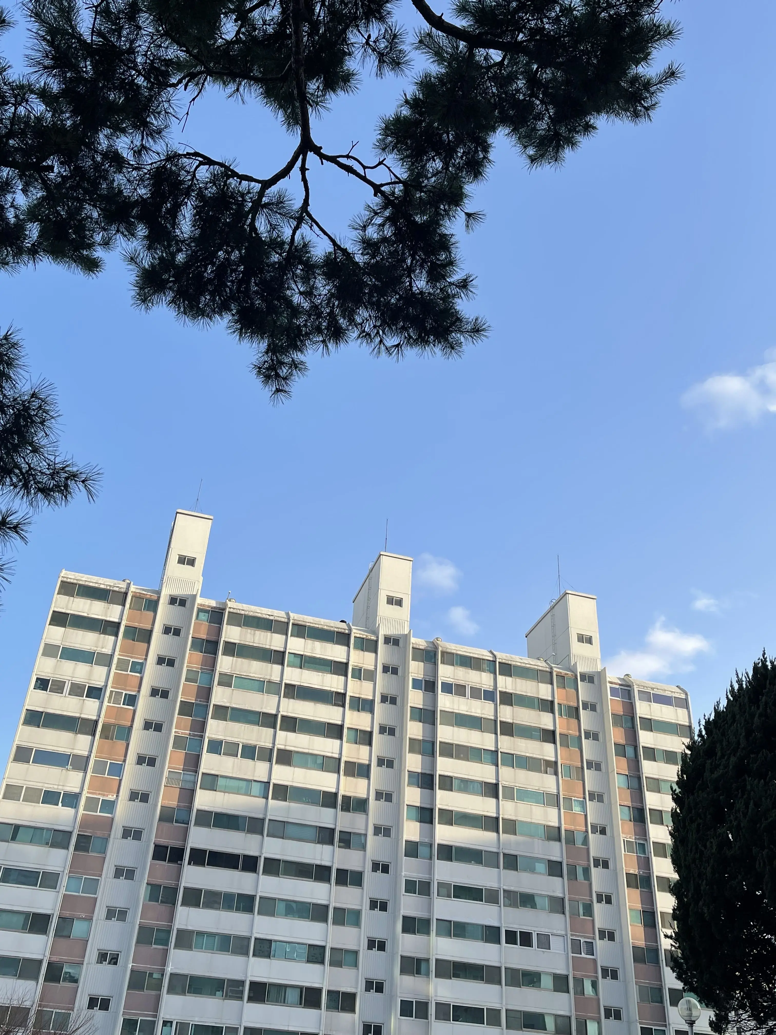 Doya_x의 고고프렌즈 부산 MT