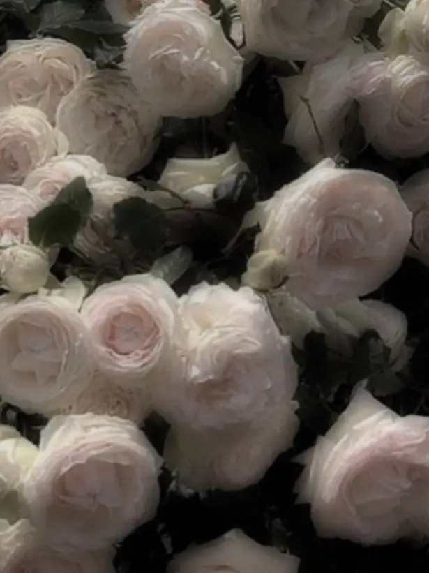 7g6j의 にょたえび