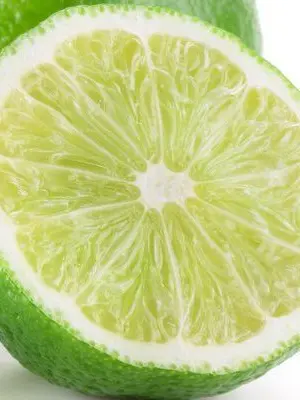 TADANOAHONARAMUNE의 保育園