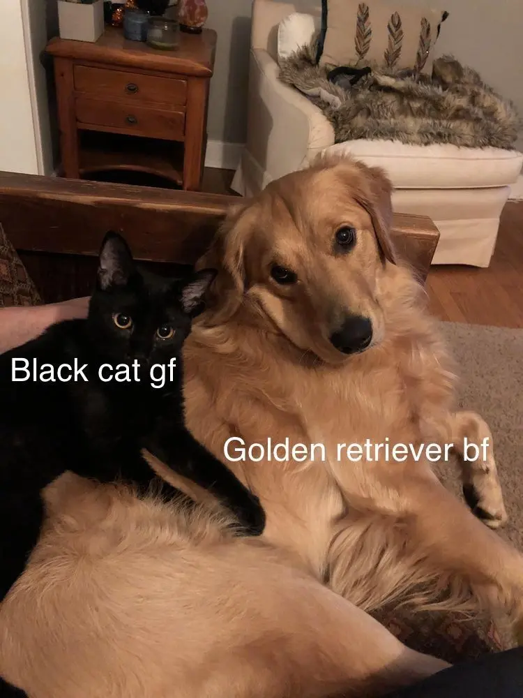 Imsowetlmao의 🖤💛