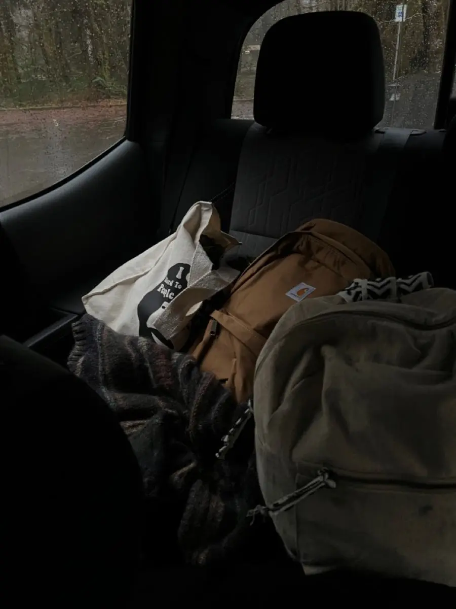 TiredEmmy의 Chaotic Road trip