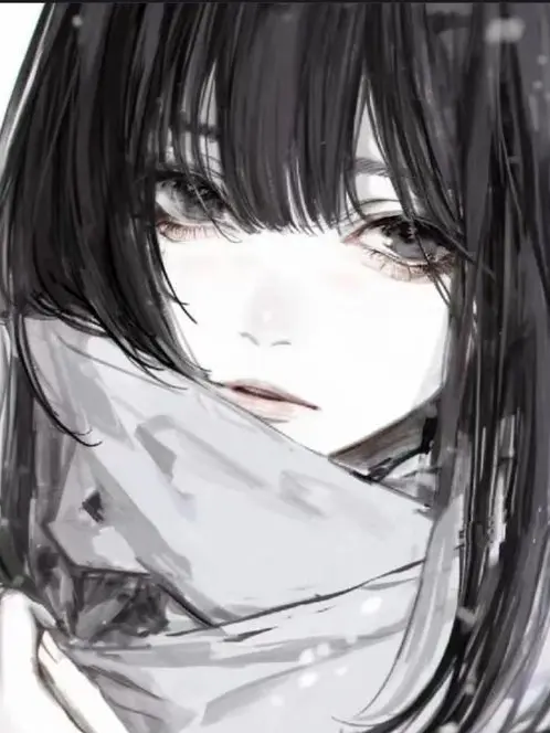 TrendyVise3592의 공연수