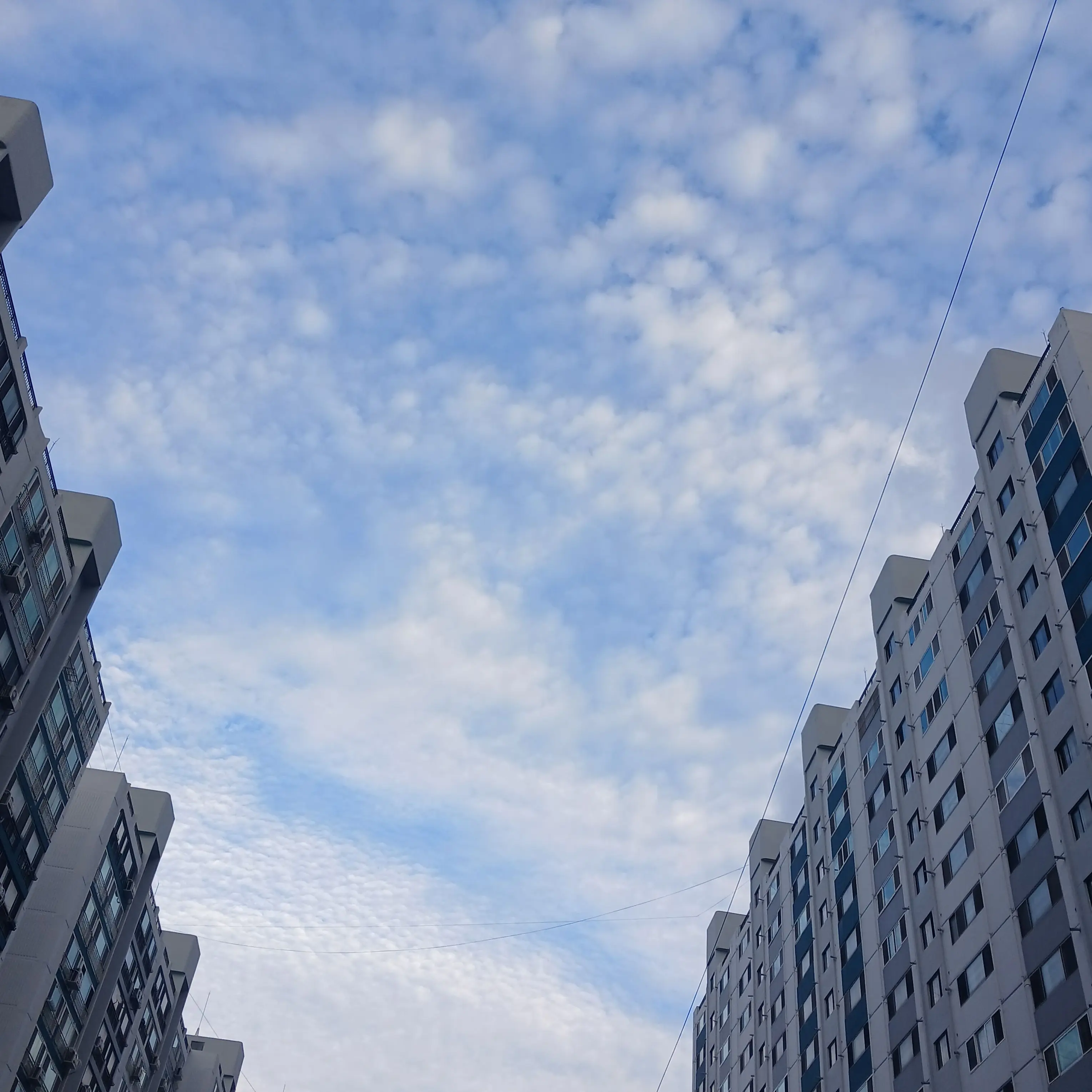 FancyWheel5784의 양민지싫어하면XX