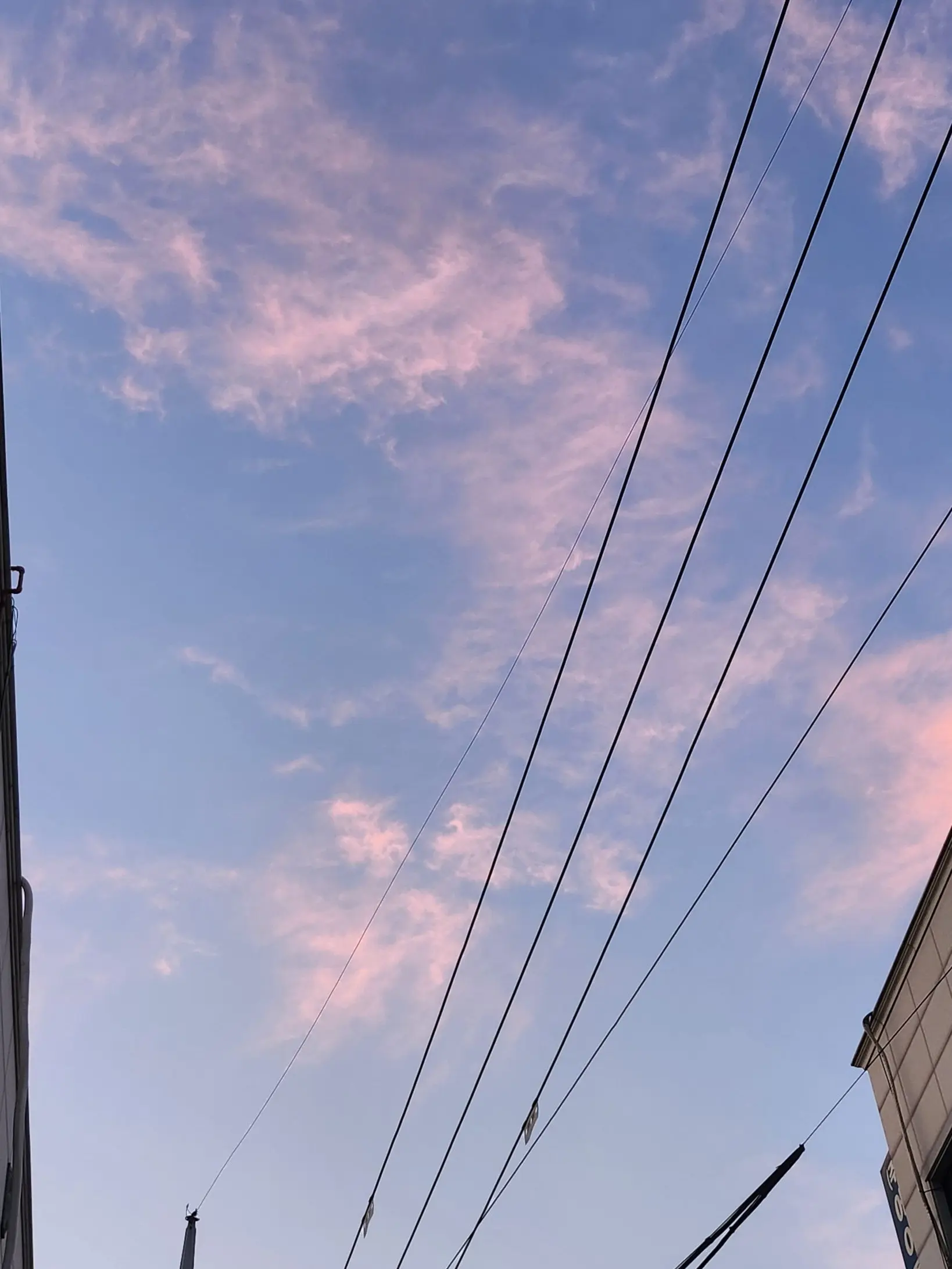 MadFatty2984의 고고프렌즈 초능력 학교