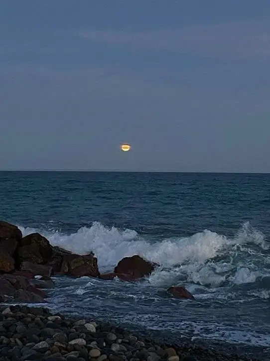 hanya10_1의 ㅤ♥︎...