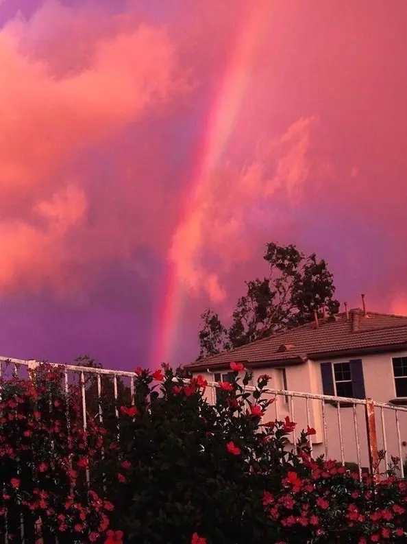 night_sky_wish의 1215