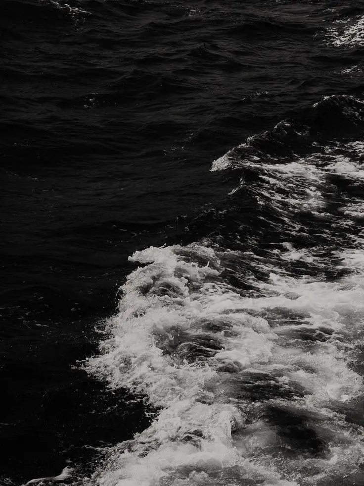 TheLastofUs의 浪漫