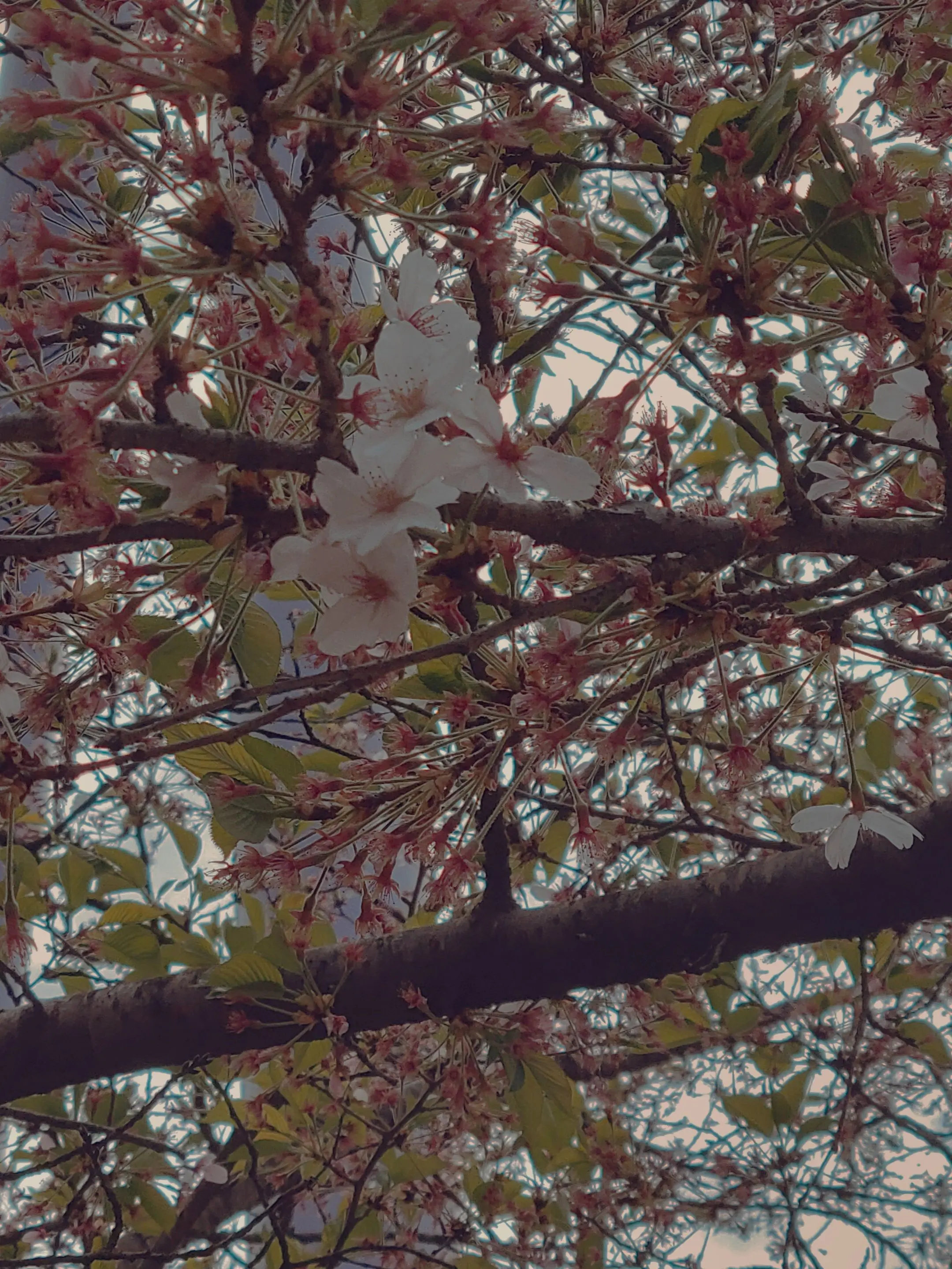 flashing의 ^_^