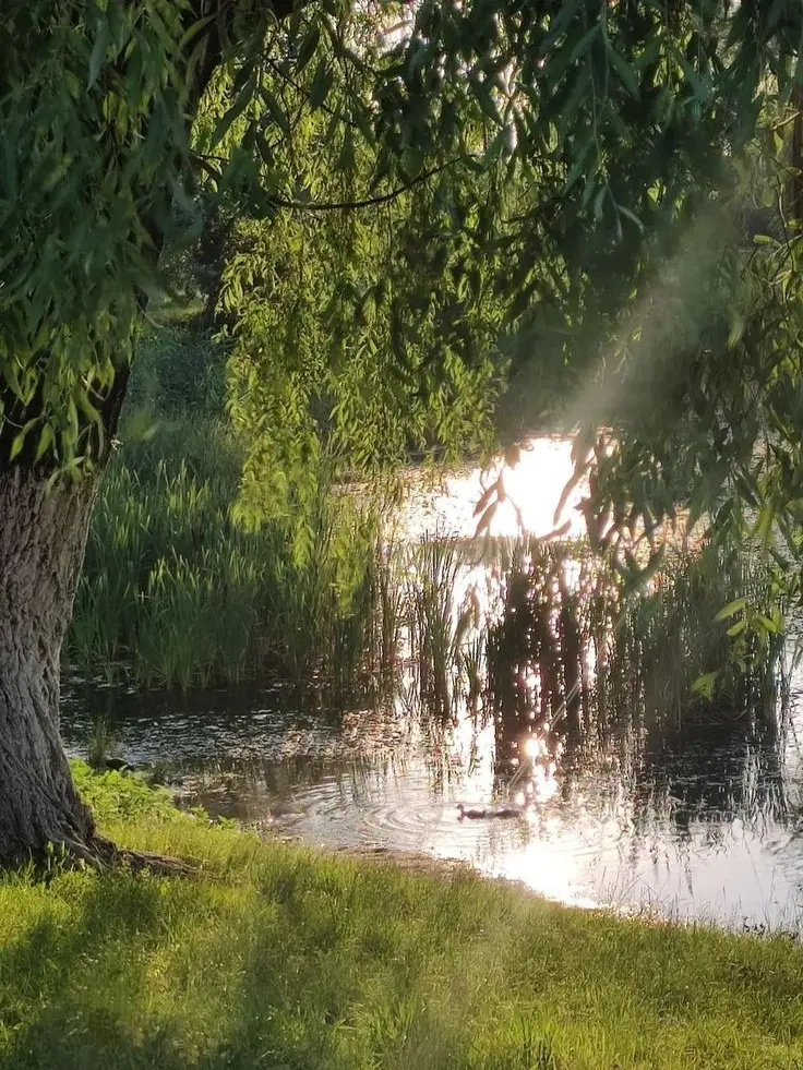 GOOD.의 도망친 곳엔 낙원이 없다는 말 믿어?