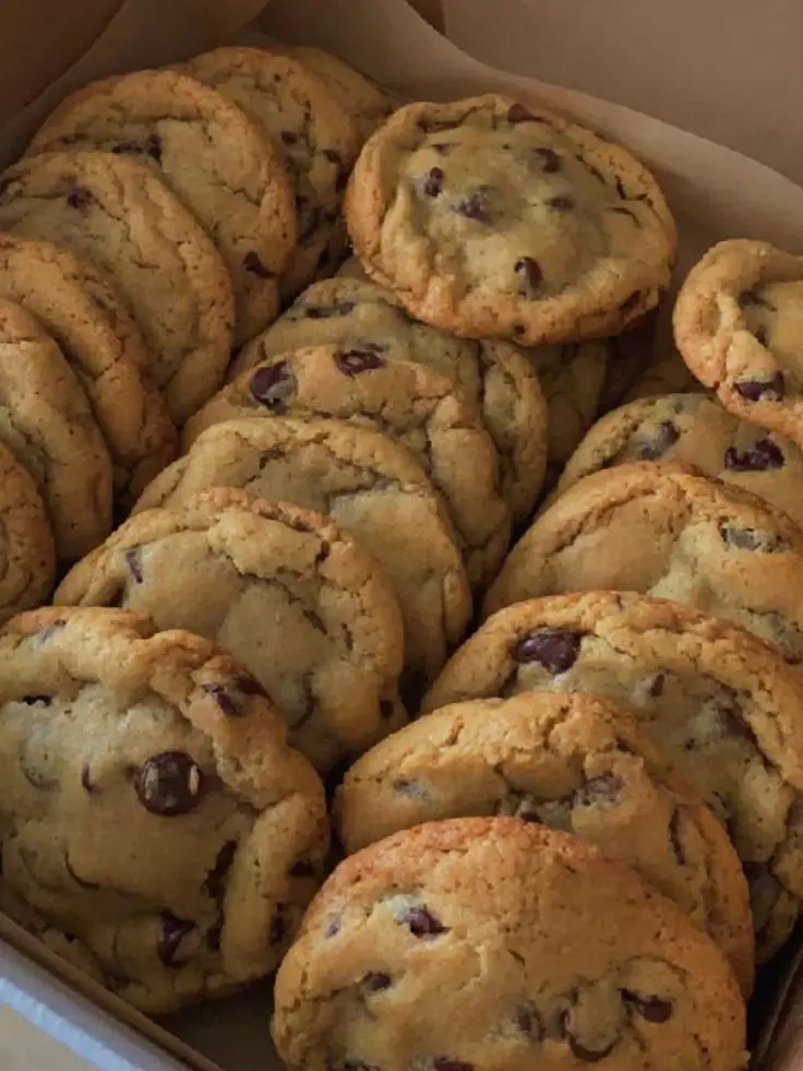 AGems9099의 Talking Cookies