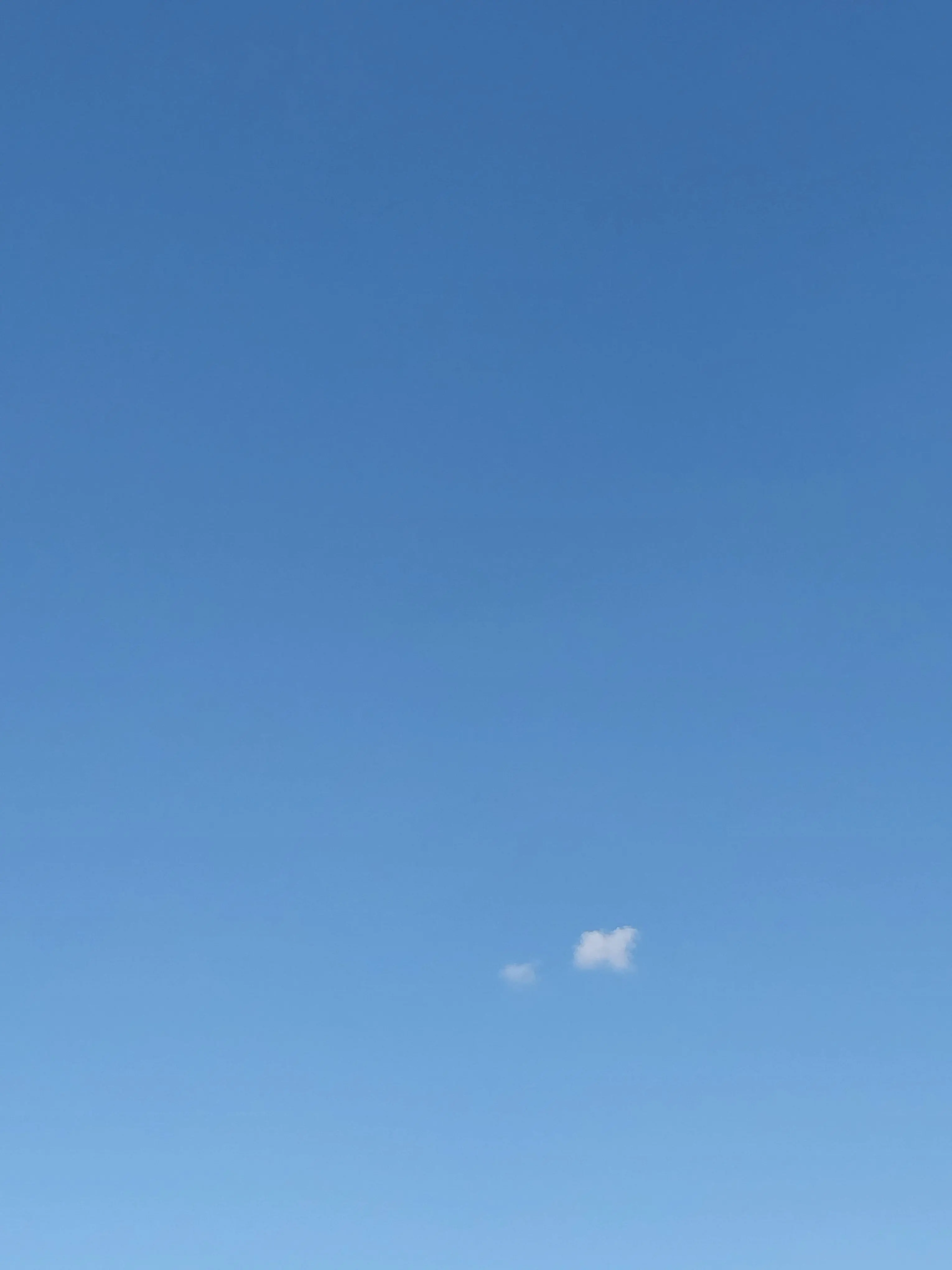 celi-lia의 죽음의 왈츠