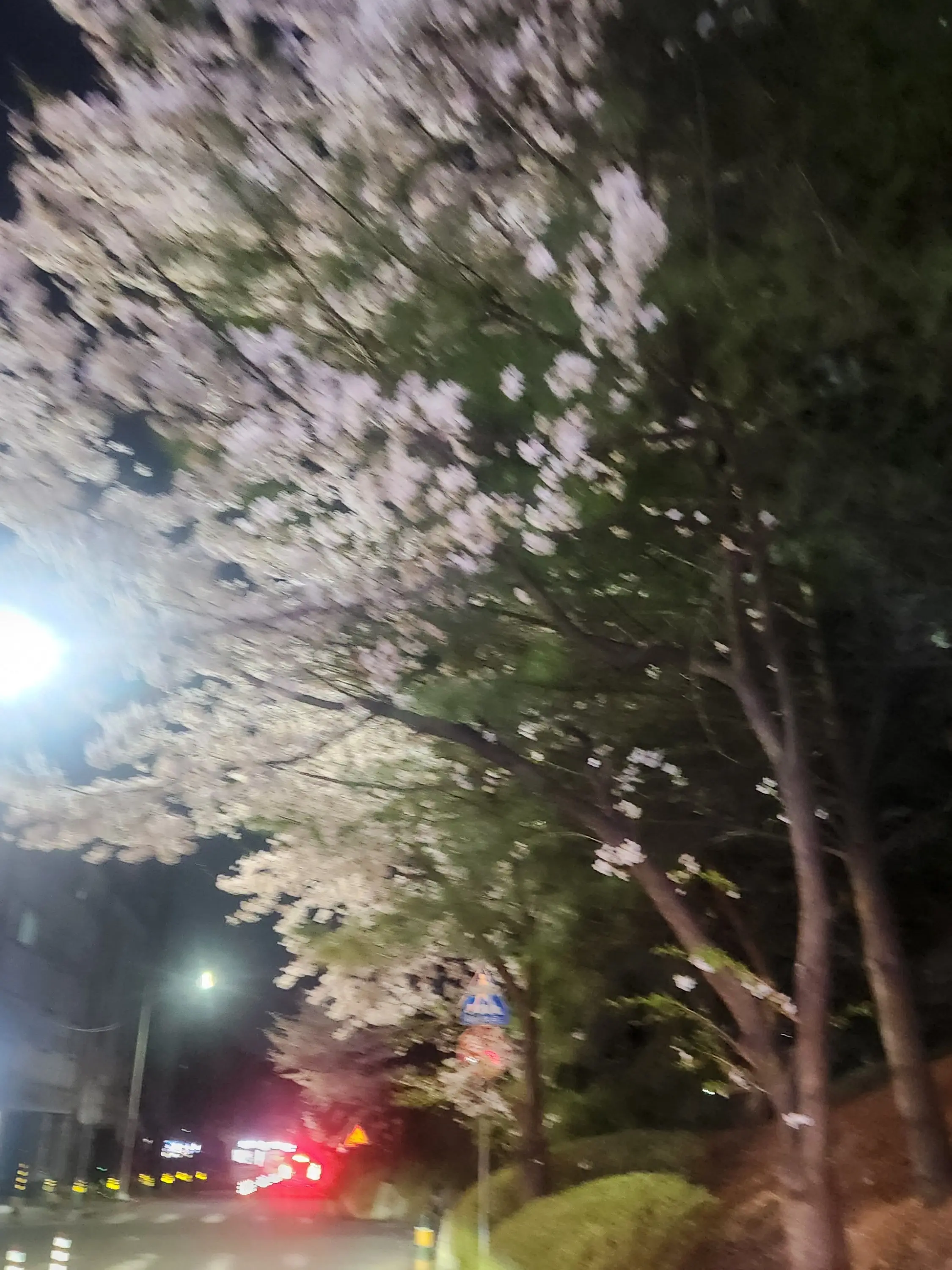 Woowang0722의 너가 다시 올줄 몰랐는데,