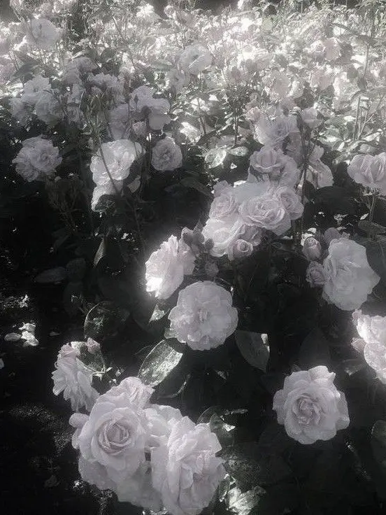 FloralPlane2648의 The Person in the Hospital Room