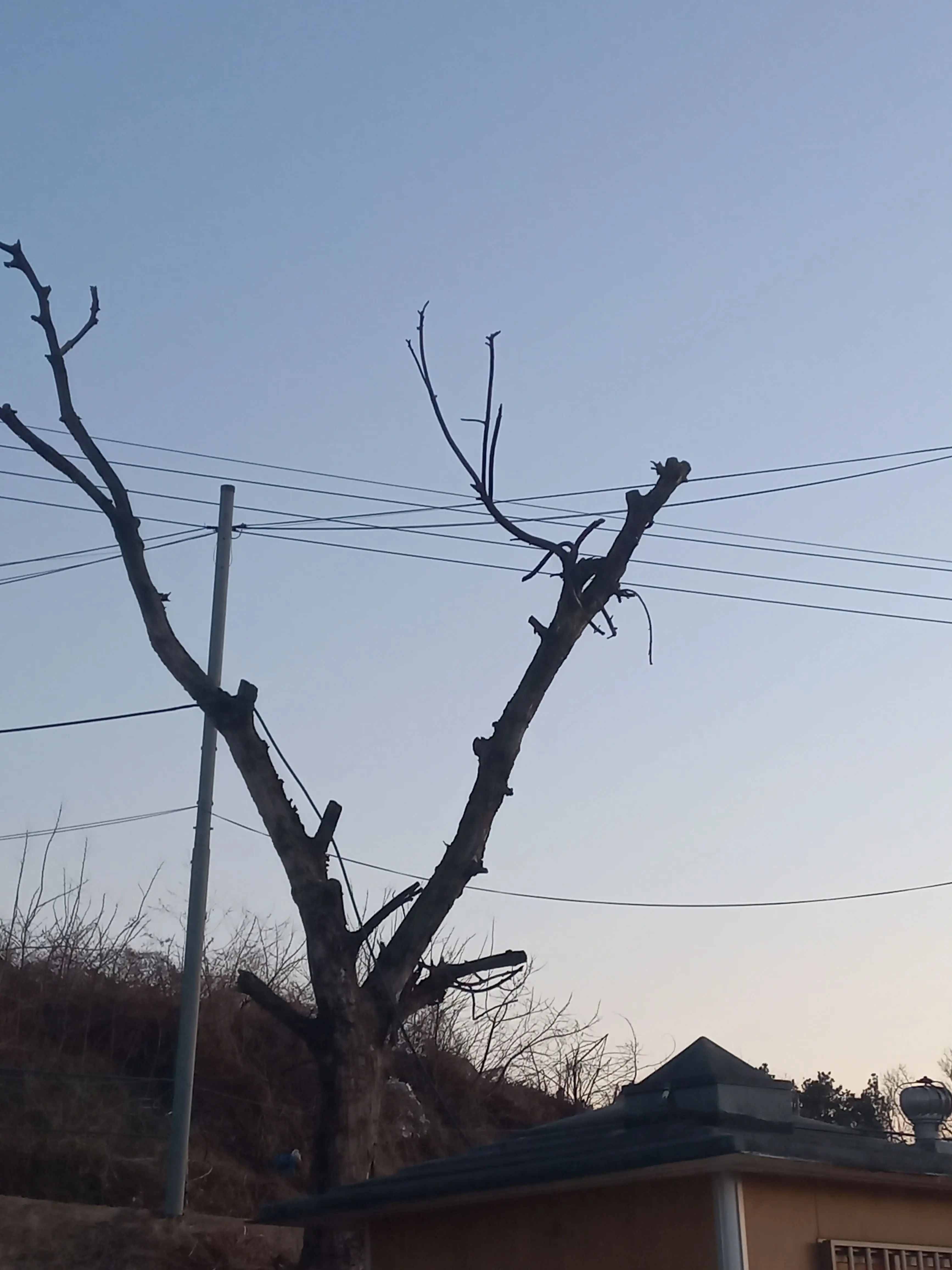 Kekeklong111의 凪誠士郎