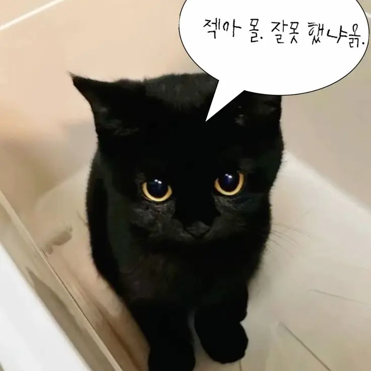 Tsuki_1121의 츠키 쨩 푸딩 먹을래요ㅠ