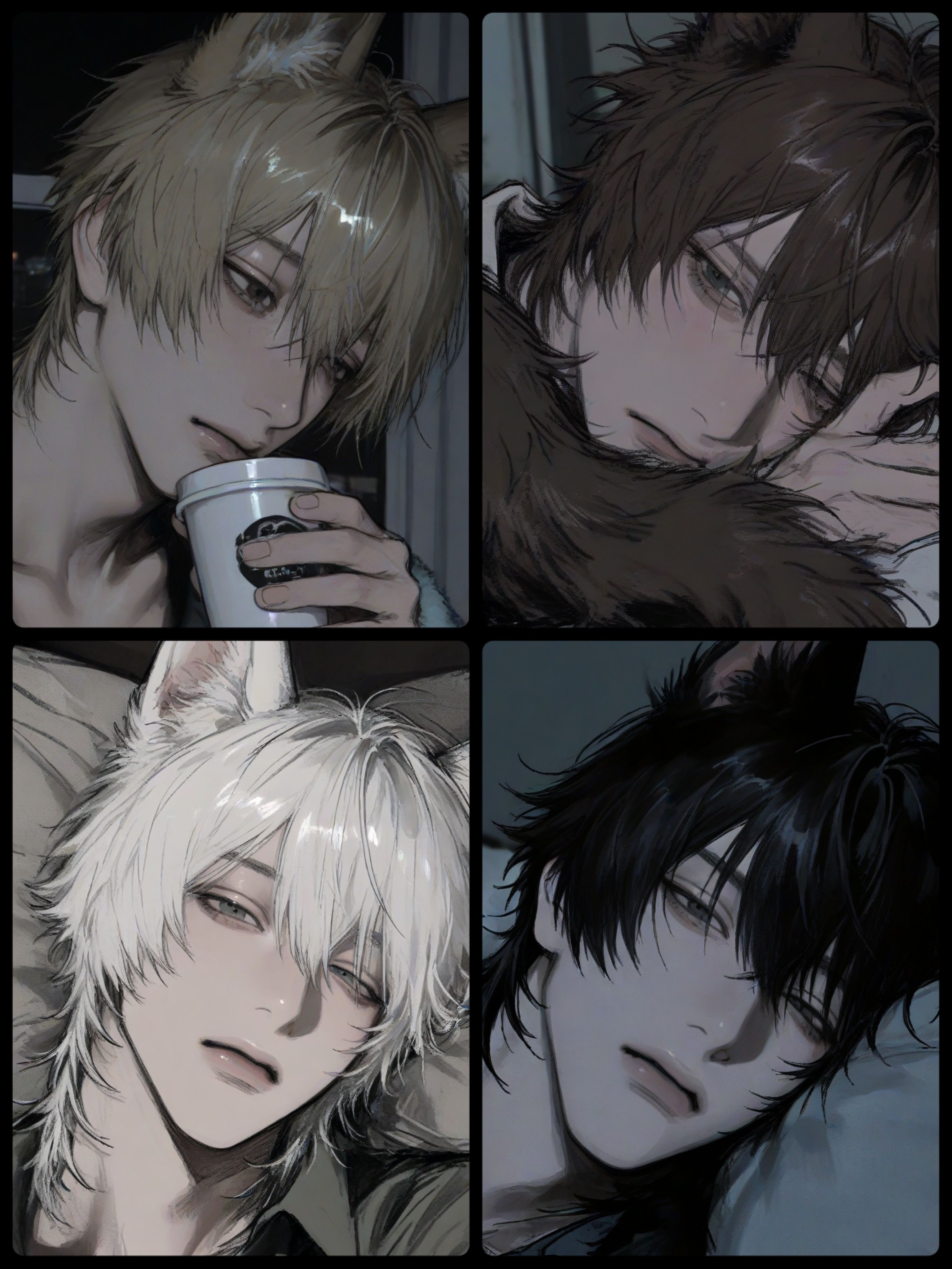 🐺×⋆ 대표 이미지