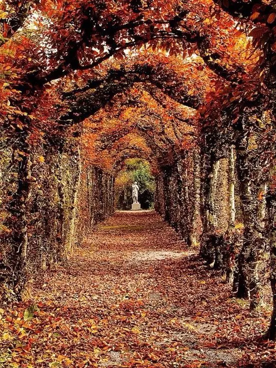Rosehueddreamz의 The Arrangment