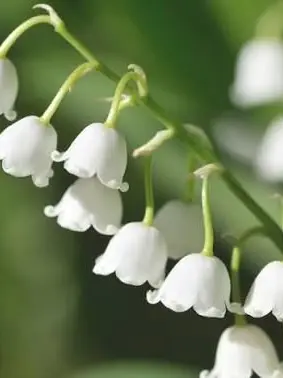 IWGH_iwantgohome의 Endless sadness