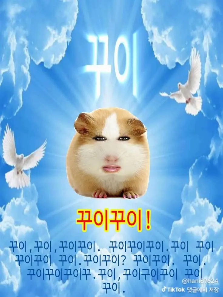 Oangg의 연애 프로그램